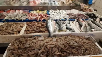 تراجع مفاجئ في أسعار السمك والمأكولات البحرية يوم 21 ديسمبر 2025